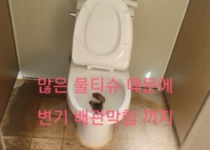 물티슈