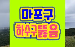 마포구하수구막힘 싱크대 세면대 뚫음