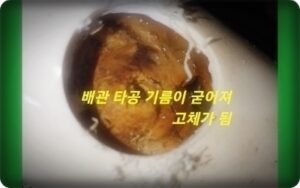 고체화