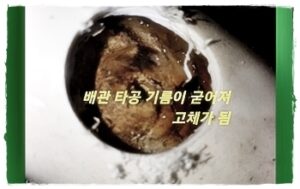 고체화