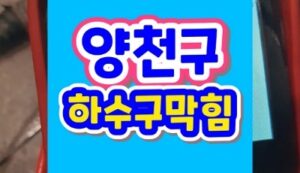 양천구 신월동 싱크대막힘 하수구막힘 자주 막히는 이유