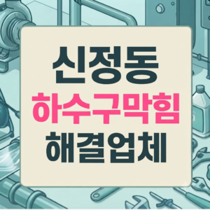 신정동 싱크대막힘 하수구 역류 바닥공사비 수백만원 방어